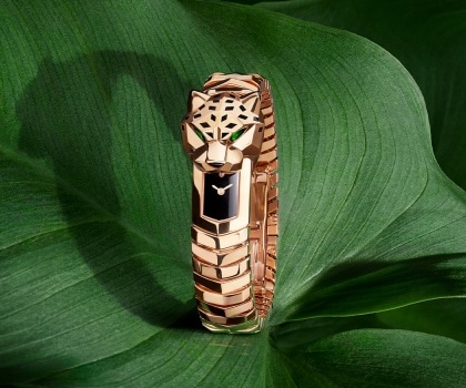 Cartier ring sales watch