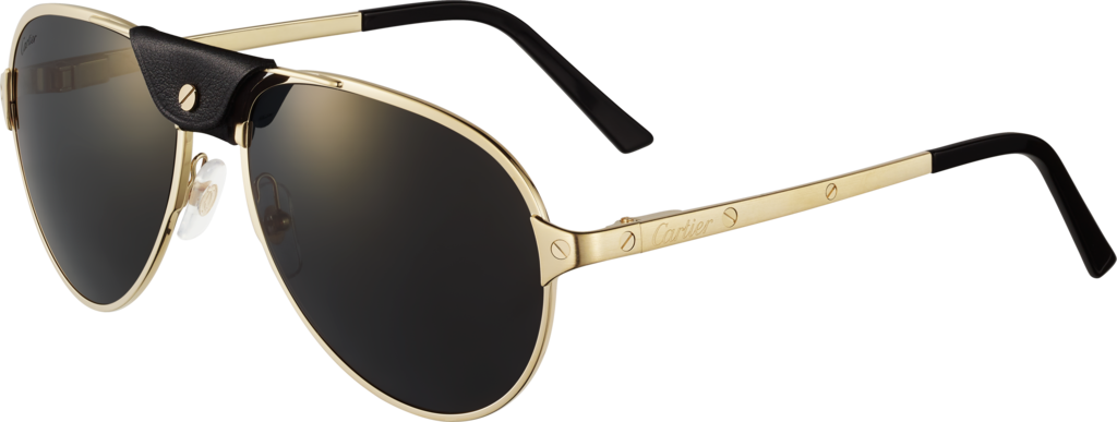 Santos de Cartier sunglassesSmooth and brushed golden-finish metal, grey polarised lenses with golden flash
