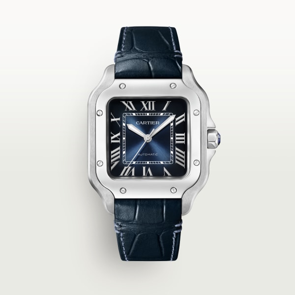 Santos de cartier straps discount